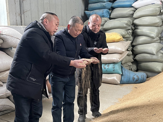 桃江種糧大戶與農(nóng)村農(nóng)業(yè)局技術(shù)人員正在查看春耕種子情況。受訪單位供圖