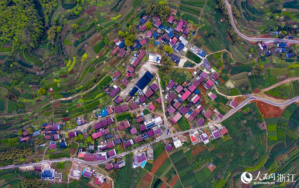 4月1日，紹興市新昌縣東茗鄉(xiāng)下巖貝村風(fēng)光秀麗，茶園旖旎。人民網(wǎng) 章勇濤攝