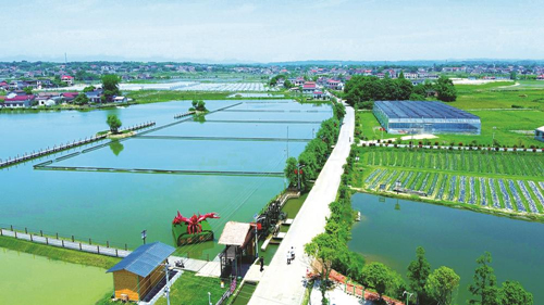 近年來(lái)，大成橋鎮(zhèn)堅(jiān)持加強(qiáng)黨對(duì)鄉(xiāng)村治理的集中統(tǒng)一領(lǐng)導(dǎo)，該鎮(zhèn)鄉(xiāng)村治理模式入選第二批全國(guó)鄉(xiāng)村治理典型案例。圖為美麗的大成橋鎮(zhèn)。（資料圖片）