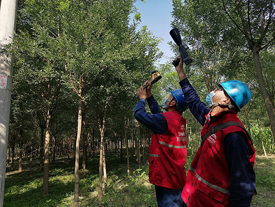 工作人員進行紅外測溫及超聲波局部放電檢測。 王亮攝