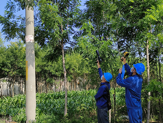 工作人員進行紅外測溫及超聲波局部放電檢測。 王亮攝