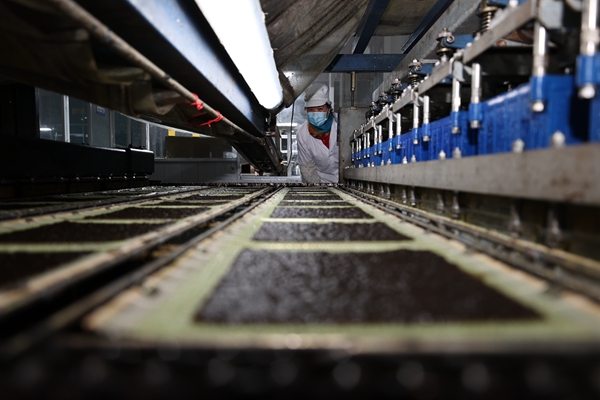 柘汪紫菜產(chǎn)業(yè)園內(nèi)入駐企業(yè)的紫菜生產(chǎn)線。贛榆區(qū)委宣傳部供圖