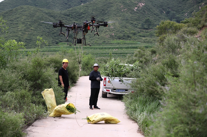 在石家莊市井陘縣吳家窯鄉(xiāng)長(zhǎng)峪村荒山造林現(xiàn)場(chǎng)，一名無人機(jī)手操控?zé)o人機(jī)運(yùn)輸樹苗。王保龍攝