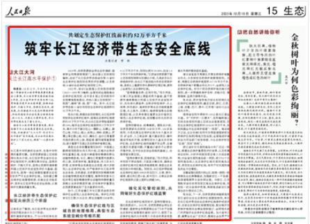 人民日?qǐng)?bào)。截圖