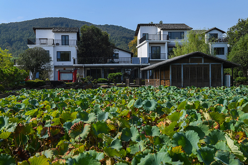 雨悅山房負(fù)責(zé)人原來在馬達(dá)加斯加打理酒店，之所以“從馬達(dá)加斯加到肥東”，源于對(duì)家鄉(xiāng)民宿前景看好。吳芳攝