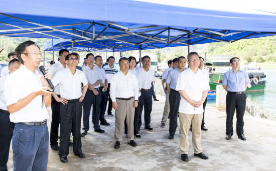 2019年6月21日上午，省長沈曉明率省政府班子成員在三亞鐵爐港調(diào)研項目規(guī)劃建設(shè)情況。海南日報記者 宋國強 攝