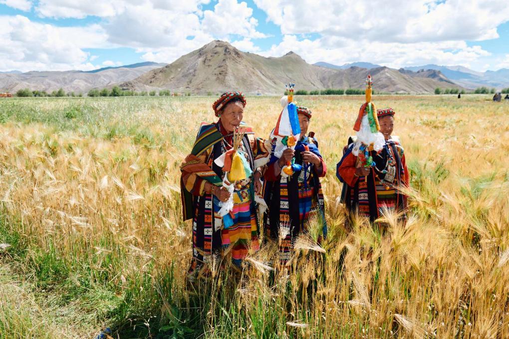 滬藏?cái)y手構(gòu)建江孜氆氌全產(chǎn)業(yè)鏈體系:“指尖技藝”跨入發(fā)展“新賽道”