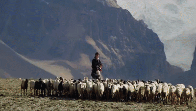 你看了嗎？藏語版《日光之城》“含金量”還在上升！