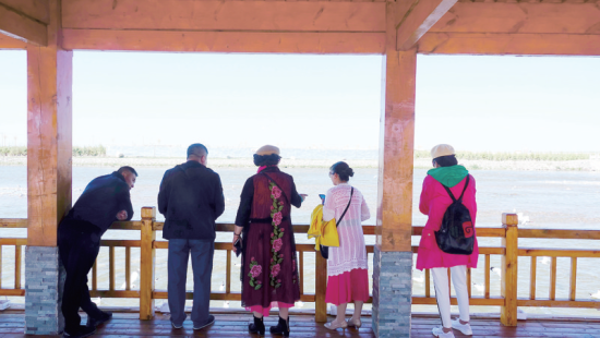 湟魚洄游奇觀吸引游人。