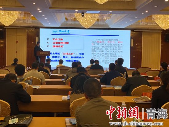 圖為論壇現(xiàn)場(chǎng)。李江寧攝