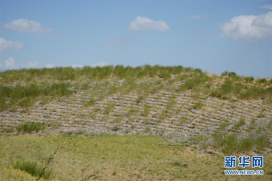 （決戰(zhàn)決勝脫貧攻堅·圖文互動）（3）高原鄉(xiāng)鎮(zhèn)沙珠玉 治沙斗貧成“綠?！薄嗪Ｊ」埠涂h沙珠玉鄉(xiāng)采訪見聞