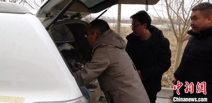 圖為民警救助國家二級保護(hù)動物——大天鵝。青海省公安廳森林警察總隊供圖