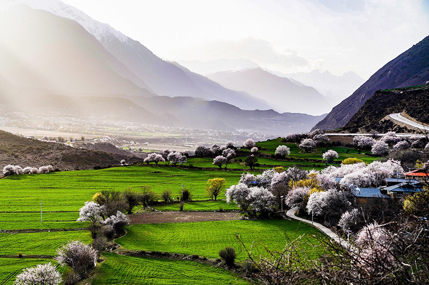 西藏林芝市波密縣傾多鎮(zhèn)八朵卡的田園風光（攝于4月5日）。新華網 達娃攝.jpg