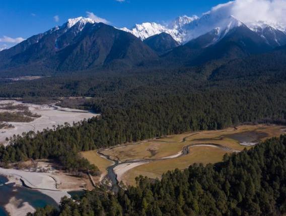 資料圖：西藏崗云杉林與遠(yuǎn)處的雪峰。 何蓬磊 攝