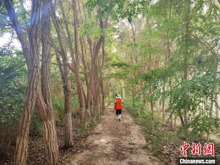 戈壁灘上的護(hù)林員：以前風(fēng)吹睜不開眼，現(xiàn)在滿眼皆綠色