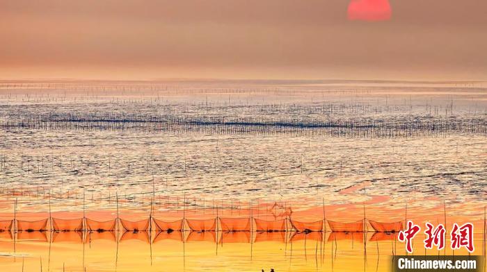 江蘇鹽城被譽(yù)為金灘銀蕩、魚米之鄉(xiāng)?！←}城市委宣傳部供圖