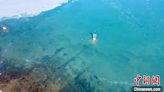 圖為冬日青海湖?！±罱瓕帯z