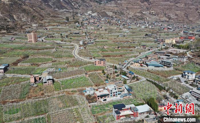 潔白的李花與村寨交相輝映，勾勒出一幅美麗的和諧生態(tài)畫卷?！『吻搴?攝