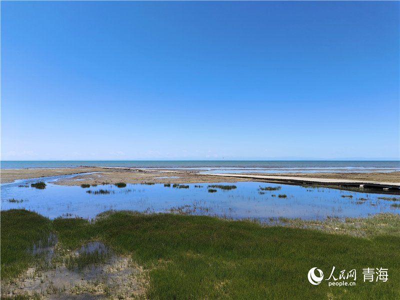 青海湖仙女灣。人民網(wǎng) 張莉萍攝