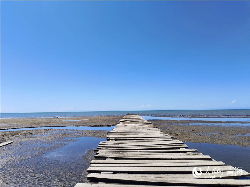   青海湖仙女灣。人民網(wǎng) 張莉萍攝