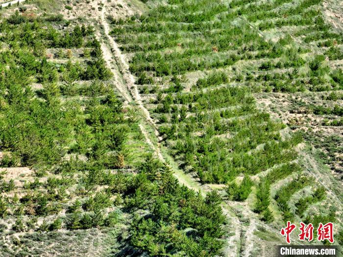 航拍建行青海省分行綠化區(qū)?！∑钤鲚?攝