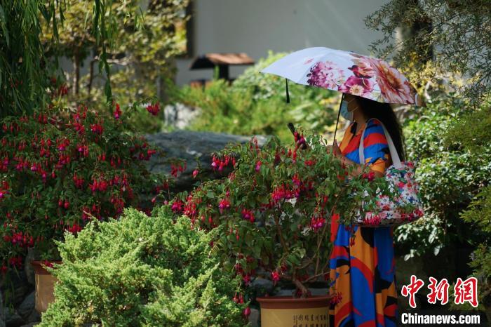 圖為市民在西寧園林植物園內(nèi)賞花拍照?！●R銘言 攝