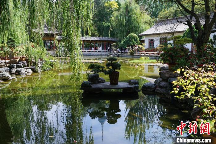 圖為西寧園林植物園秋日風(fēng)景別有韻味?！●R銘言 攝