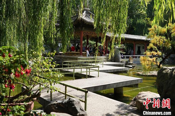 圖為西寧園林植物園秋日風(fēng)景別有韻味?！●R銘言 攝