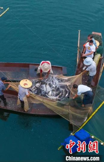 捕魚現(xiàn)場?！≈鬓k方供圖