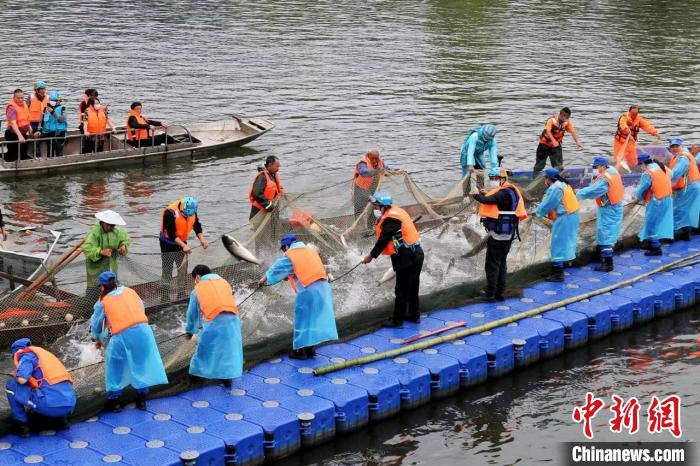 捕撈現(xiàn)場?！≈鬓k方供圖