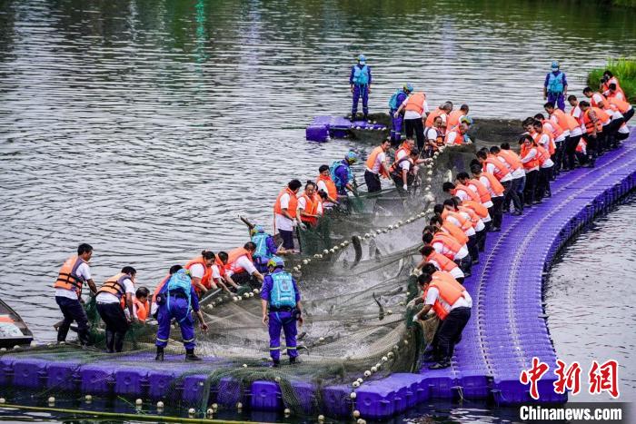 捕撈現(xiàn)場?！≈鬓k方供圖