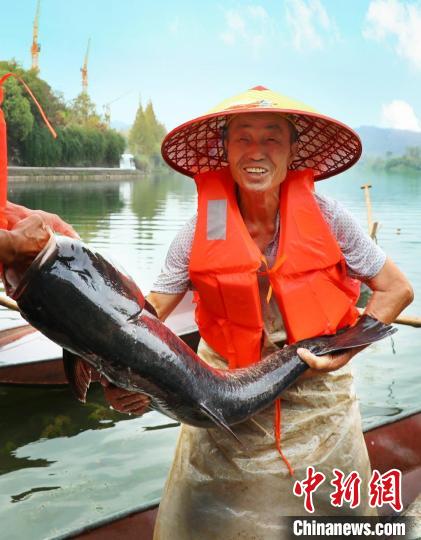 工作人員展示捕撈成果?！≈鬓k方供圖