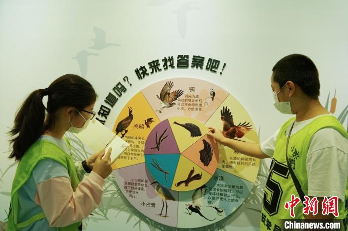 圖為小朋友在青海西寧湟水國家濕地公園科普館內(nèi)參觀學(xué)習(xí)?！●R銘言 攝