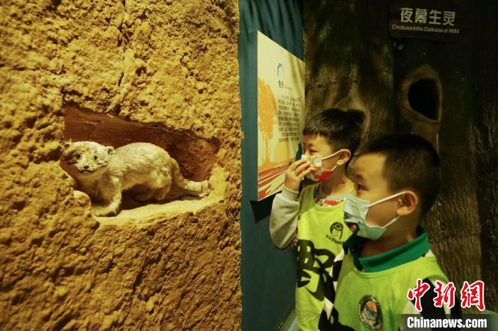 圖為小朋友在青海西寧湟水國家濕地公園科普館內(nèi)參觀學(xué)習(xí)?！●R銘言 攝