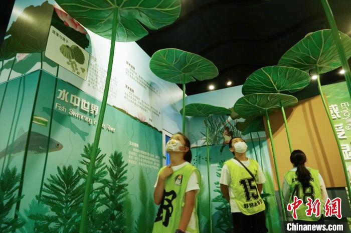 圖為小朋友在青海西寧湟水國家濕地公園科普館內(nèi)參觀學(xué)習(xí)。　馬銘言 攝