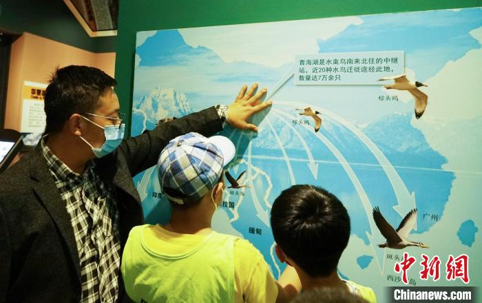 圖為小朋友在青海西寧湟水國家濕地公園科普館內(nèi)參觀學(xué)習(xí)?！●R銘言 攝
