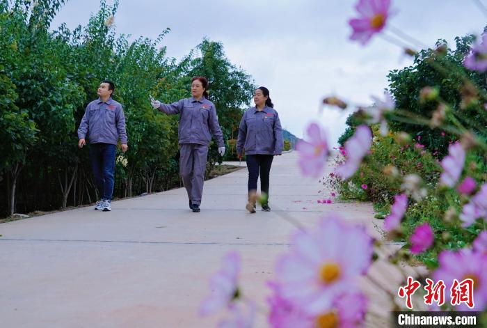 圖為張錦梅(中)與同事在西寧北山查看丁香樹(shù)?！●R銘言 攝