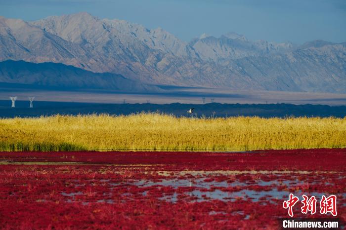 圖為柴達木盆地可魯克湖?！」?攝