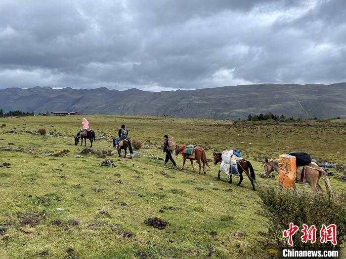 圖為9月26日游客騎馬領(lǐng)略尼汝村高原牧場(chǎng)風(fēng)光。 <a target='_blank' href='/'><p  align=