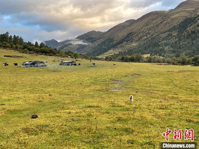 圖為9月27日新沾牧場(chǎng)的早晨景色。 <a target='_blank' href='/'><p  align=