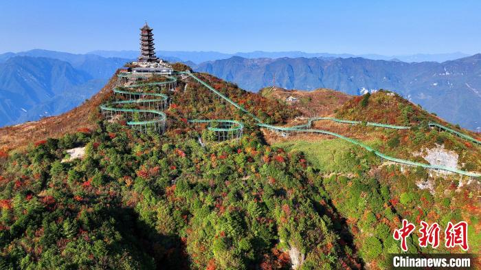 巴山大峽谷彩林迎來(lái)最佳觀賞期?！∫κ?攝