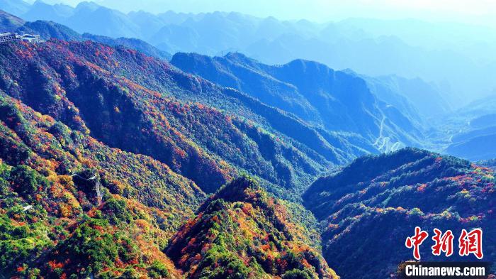 巴山大峽谷彩林迎來(lái)最佳觀賞期?！埰?攝