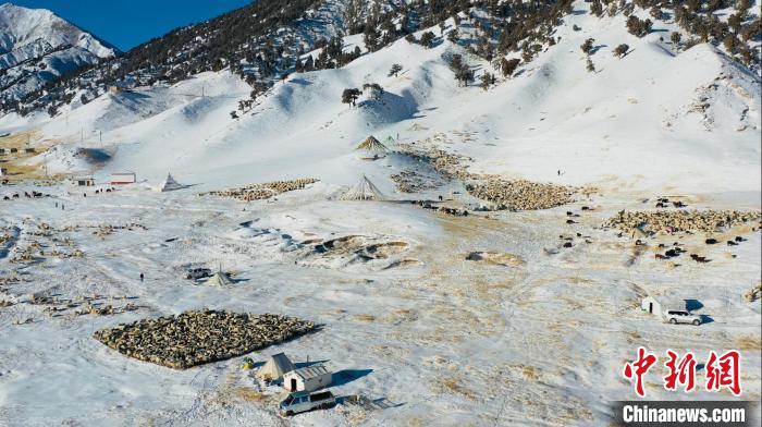 圖為無(wú)人機(jī)航拍牧場(chǎng)。　都蘭縣融媒體中心供圖