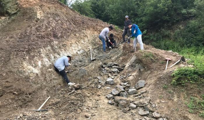 2018年玉海翼角魚野外發(fā)掘采集現(xiàn)場(chǎng)?！∩w志琨 攝