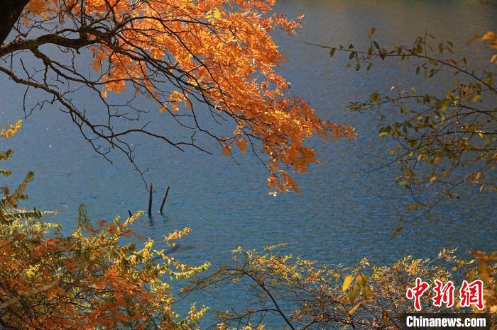 松坪溝風光?！⑼?攝