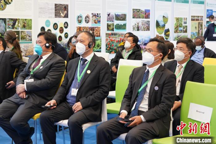 圖為極小種群物種和生物多樣性保護(hù)邊會(huì)現(xiàn)場(chǎng)。　云南省林業(yè)和草原局供圖