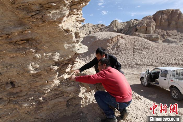 圖為地質(zhì)專家觀察鹽類沉積地層。(資料圖) 柴綜院 供圖