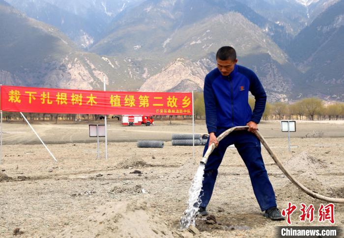 林芝市巴宜區(qū)森林消防中隊志愿服務隊澆水灌溉。　西繞拉翁 攝