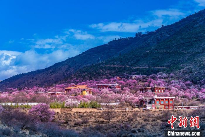 美麗的鄉(xiāng)村畫卷。　何行銘 攝