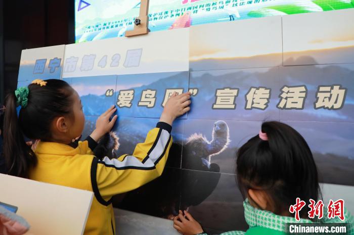 圖為學(xué)生通過拼圖游戲了解鳥類知識。　馬銘言 攝